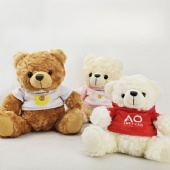 7 inches Teddy Bear with Custom T-shirt