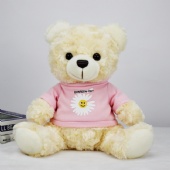 7 inches Teddy Bear with Custom T-shirt